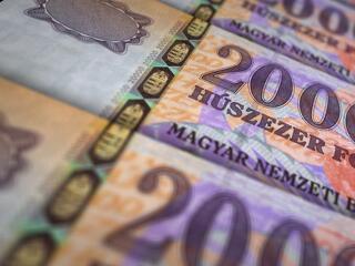 Kegyelmi időszakban a magyar gazdaság