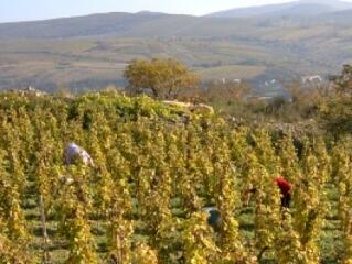 Fodor bízik benne, hogy nem lesz szlovák erőmű