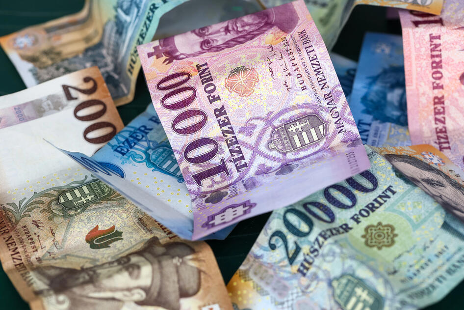 A lovak közé dobták a gyeplőt