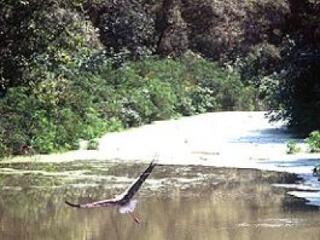 Tisza-tó: 8 milliárd, vagy vége?