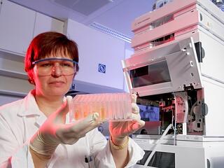 Szép számokat vár a magyar gazdaság zászlóshajója