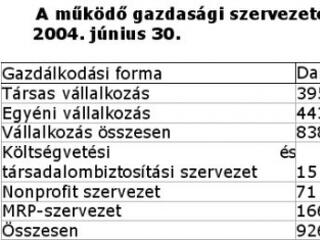 A legtöbb gazdasági vállalkozás ingatlanügyletekkel foglalkozik