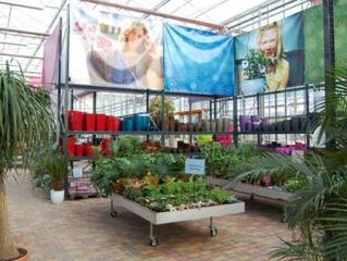 Egy családi vállalkozás titka