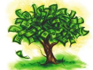 Napirenden a zöld adózás