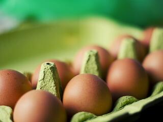 Újra szennyezett tojást találtak Magyarországon