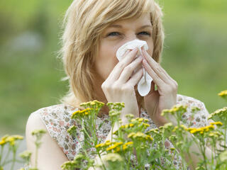Erőteljesen növekedett az allergiások betegforgalma