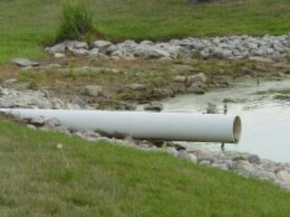 Patkánymentes Budapest napi félmillióért