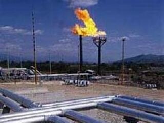 Európa az agyelszívás ellen