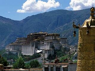 Tibet szárnyal
