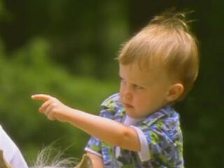 Magyar középréteg: leszakadóban?