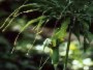 Nap-bio - 2 milliárd forint