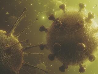 Újabb magyaroknál mutatták ki az új koronavírus-fertőzést
