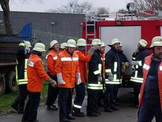 A tűzoltókban nagyon, a politikusokban nem bízunk