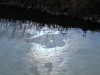 Fodor legyőzte az osztrákokat?