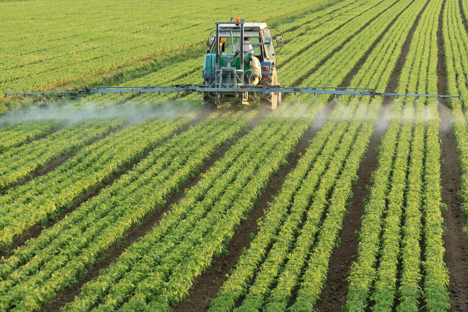 Az uniós tagság előnyeit az agrárszektor nagyban élvezi