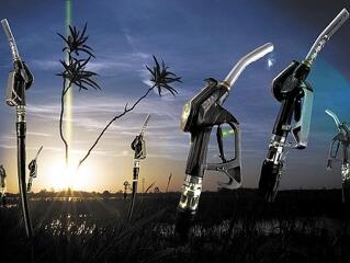 Óriásberuházás készül Mohácson