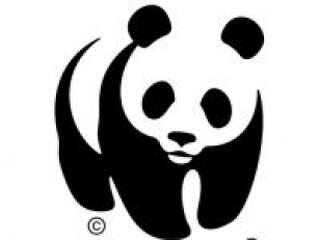 Vigye vissza Nokiáját!