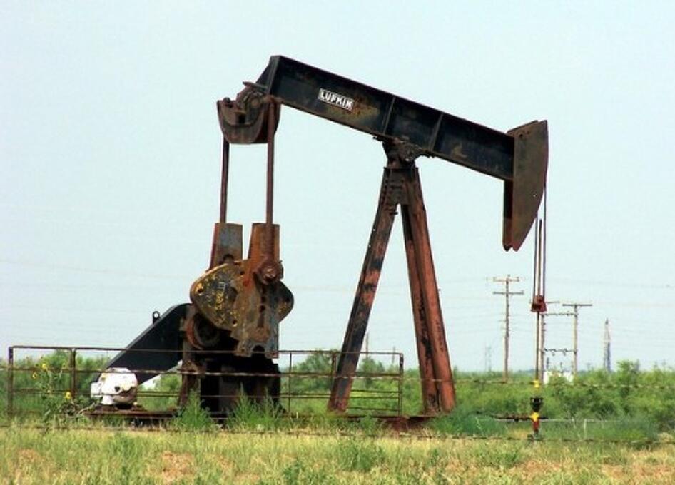 Dolgoznak a magyar kutak