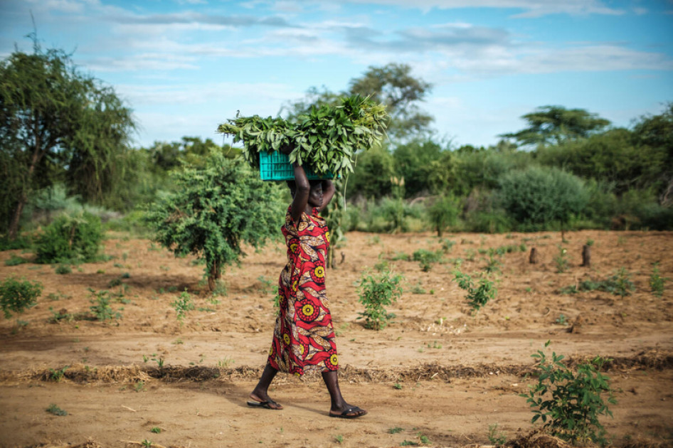 Egyre több helyen gondolják úgy, hogy a konfliktusokat erőszakkal kell megoldani