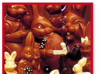 Kegyvesztett csokinyuszi