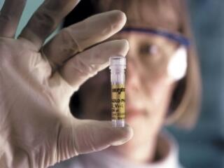 A kutatók megehetik, amit főztek