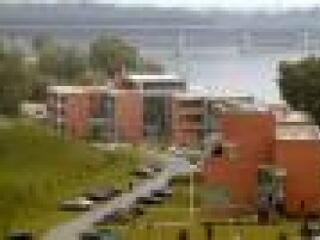 Intézményi zöld - lehet versenyelőny is