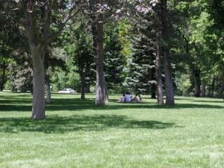 Zavarja a sok szemét? Jelentkezzen!