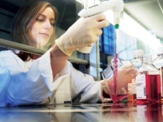 Üzleti támasz a kutatóknak