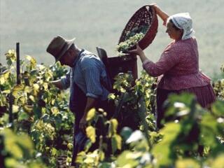 Amit a családi vállalkozásokról tudni kell