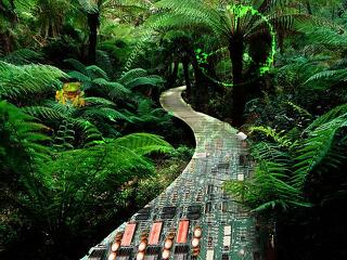 Egyre több a zöld iroda