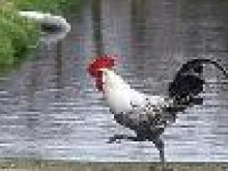 Múlt heti fonákságok - Zalatnay Cini újabb vegzálásával