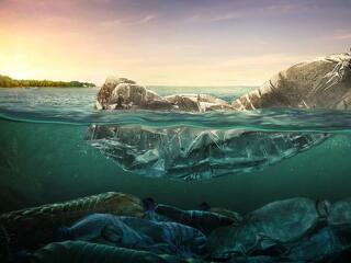 2050-re több műanyag lehet az óceánokban, mint hal