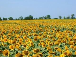 Gráf radikális uniós reformot akar