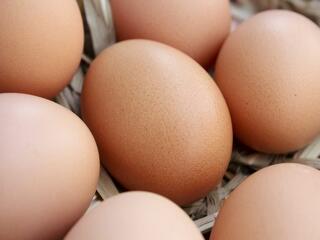 Páros lábbal szállnak az áruházak a tojástermelésbe a gazdák szerint