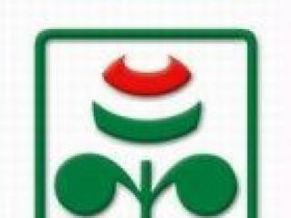 Zenészek a szomszédok