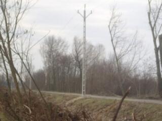 Megfizetik a kivágott fák pótlását