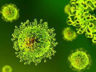 Koronavírus: 447 fertőzött, meghalt 2 idős beteg