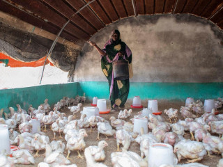 Lejtmenetben az élelmiszerárak