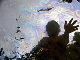 Környezetszennyező vállalatoknak kedvez a bíróság?