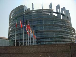 Mit tettek értünk januárban az EP-képviselők?