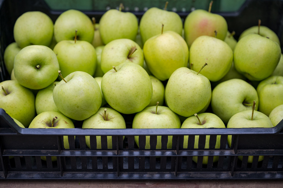 Jóval az átlag alatt van az idei termésmennyiség almából