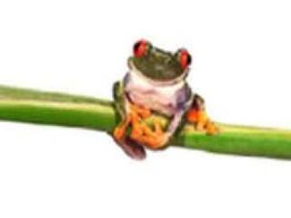 Van még tennivalónk!