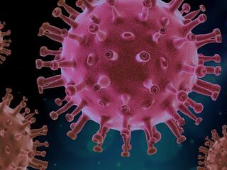 Koronavírus az országban: még soha ennyien nem haltak meg egy nap alatt