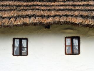 Ahova születtünk, ott is élünk