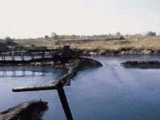 Áruház épül a pakurató helyén