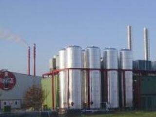 Zöld erőmű a palackozóban