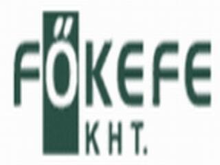 Megalakult Magyarország legnagyobb közhasznú társasága