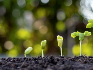 Döcögős adat került elő a magyar gazdaságról