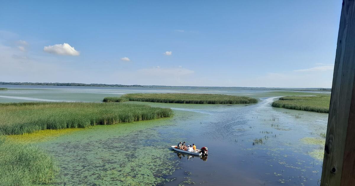 A klímaváltozás miatt felborult Magyarország vízháztartása, a Tisza vízhozama 30 százalékkal csökkent