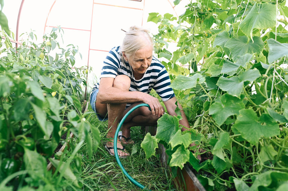 Hobbi vagy szükséges is egy kis munka